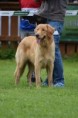 /album/fotogalerie-albus/albus-8-mesicu-jpg/